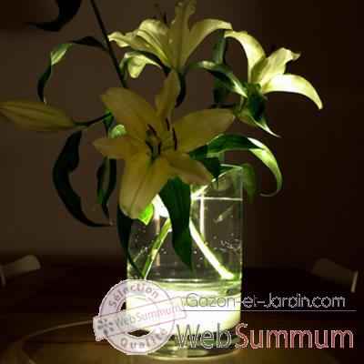 Vase intterieur avec lumiere fleur lampe 29 cm Verre